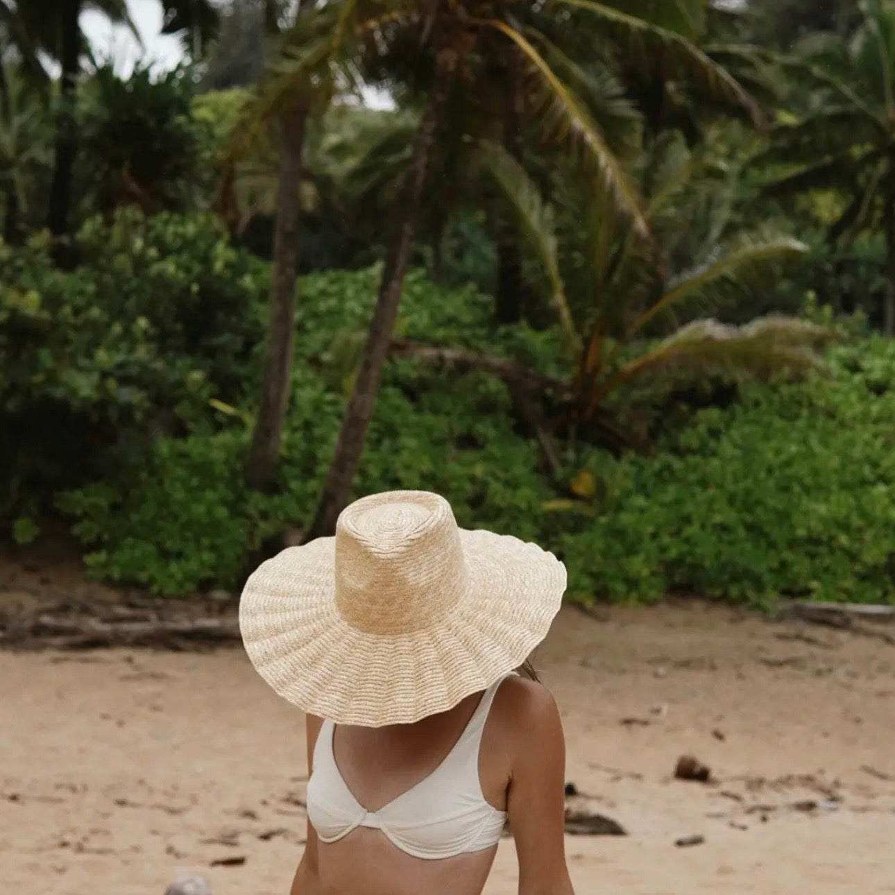Nalu - Scollped Wide Brim Straw Hat